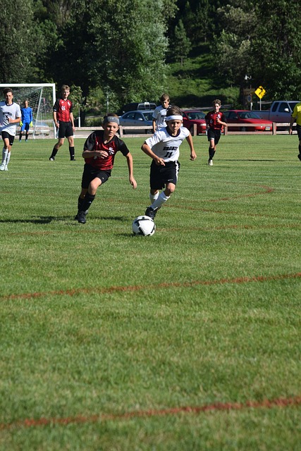 来大陆采购 来大陆采购