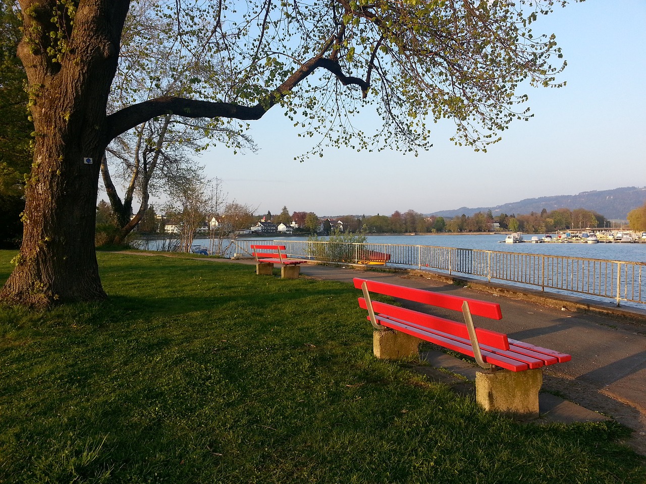 术的发展 术的发展